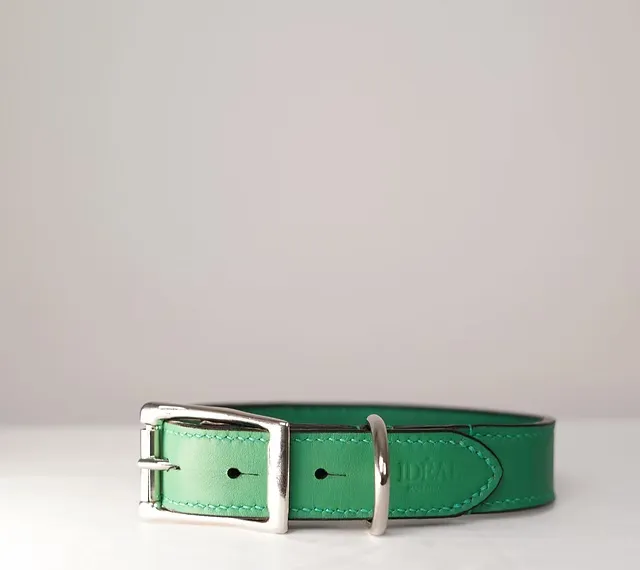 Collier pour chien — Vue de face, maroquinerie Atelier Idéal