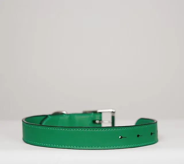 Collier pour chien — Vue de face, maroquinerie Atelier Idéal
