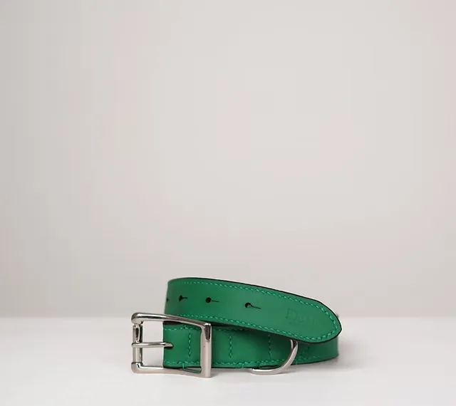 Collier pour chien — Vue de face, maroquinerie Atelier Idéal